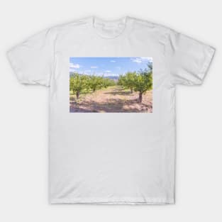 Okanagan Valley Apple Orchard Summer T-Shirt